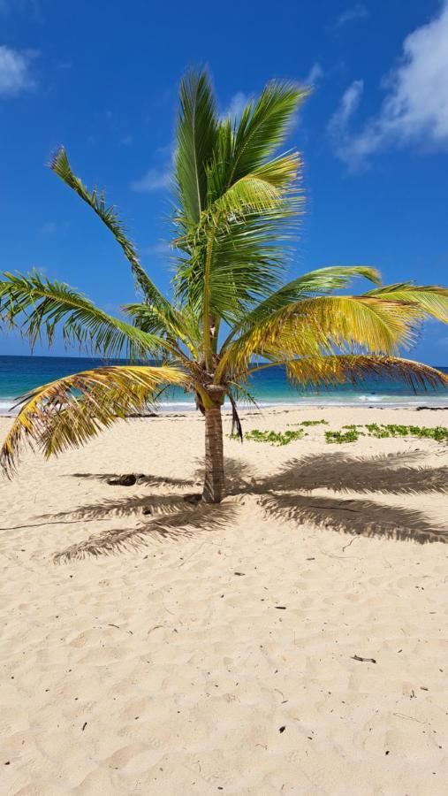 Studio Plage De L'Anse Caritan サンタンヌ エクステリア 写真